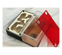 Ant Formicarium, Ant Nest Acrylic Glass Gypsum 3D Flat Multicolor(B)