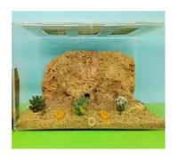 Ant Formicarium, Clear Acrylic Ant Formicarium House Castle Nest For Scientific Observation Size