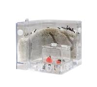 Ant Hill Ant Farm Nest Educational Colony Habitat For Home Observe Behavior Insect Villa