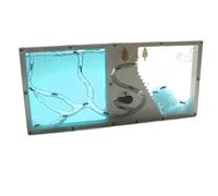 Ant House Pet Supplies Ant Castle Nest Watching At Home Ant Farm Gifts For Kids Ant Nest Farm Habitat Learning Kit
