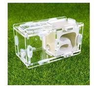 Ant House Pet Supplies Ant Nest Farm Science Experiment Formicarium Insect Nest For Science Education Tools(White)