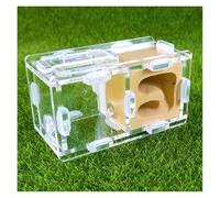 Ant House Pet Supplies Ant Nest Farm Science Experiment Formicarium Insect Nest For Science Education Tools(Yellow)