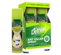 Ant Killer Spray 2 x 250ml | Kills Ants, Woodlice, & Other Crawling Insects