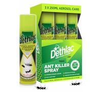 Ant Killer Spray 3 x 250ml | Kills Ants, Woodlice, & Other Crawling Insects