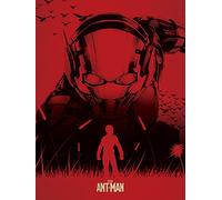 Ant-Man 60 x 80 cm Silhouette Canvas Print