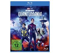 Ant-Man and the Wasp - Quantumania (Blu-ray) Rudd Paul Lilly Evangeline