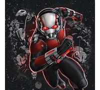 Ant-Man Ants Canvas Prints, Polyester, Multi-Colour, 40 x 40 cm