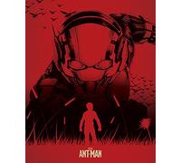 Ant-Man "Silhouette Canvas Prints, Multi-Colour, 40 x 50cm