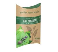 Ant Nematodes for Lawns & Gardens Natural Safe Control of Ants Treats 16 Nests from Gardening Naturally