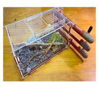 Ant Nest Ant Farm Ant Habitat Ant Farm Nest For Live Ants Educational With Water Tower Nurturing Room And Comprehensive Observation Ant Castle Ant House