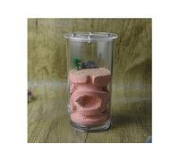 Ant Nest, Ant Farm Observation Kit Multicolor 13x6.7cm Transparent Acrylic Science Experiment(Pink)
