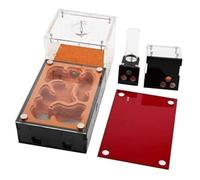 Ant Nest Farm, Ant Farm With Feeding Area Red Multiple Sizes(Ant Farm)