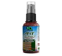 Ant Repellent with Cinnamon & Rosemary Essential Oil (Repells Bugs Such as Flies, Ants, Wasps & Mosquitos Indoors in The Home) (10ml Spray)