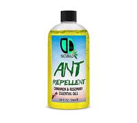 Ant Repellent with Cinnamon & Rosemary Essential Oil (Repells Bugs Such as Flies, Ants, Wasps & Mosquitos Indoors in The Home) (30ml Cap)