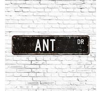Ant Street Sign Rustic Aluminum Pet Wall Art Outdoor Animal Lover Gift Decorative Vintage Rustic Retro Wall Decor Funny Metal Tin Sign for Entryway Railway Gift Idea 4"x18"