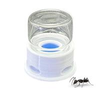 Ant Water Feeder - 12ml Ants Nest Water Feeding Container | 1.42x1.5 Inches Transparent Crickets Station | Anti-Drowning Drinking Station | Bee Crickets Dispenser For Home, Classroom, Outdoors