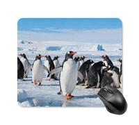 Antarctic Penguin Group Mouse Pad Cute Square Mouse Mat Leather Non-Slip Rubber Base Mousepad Waterproof Computer Mouses Pad for Laptop Wireless Mouses Keyboard Home Office 25 * 30cm