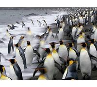 Antarctica: A Photographer's Paradise