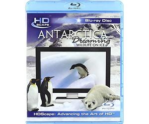 Antarctica Dreaming - Wildlife On Ice [Blu-ray] [Region Free] [2008]