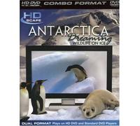 Antarctica Dreaming - Wildlife On Ice [HD DVD]