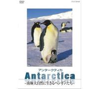 Antarctica ~“ì‹ÉE‘åŽ©‘R‚ɶ‚«‚éƒyƒ“ƒMƒ“‚½‚¿~ [DVD]