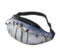 Antarctica Penguins Outdoor Sports Waist Bag & Casual Chest Pack, Adjustable Unisex Fanny Pack for Hiking/Running/Cycling