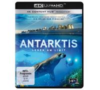Bouvier,Jérôme - Antarktis - Leben am Limit: 4K Ultra HD Blu-ray