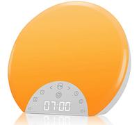 ANTDALIS Sunrise Alarm Clock Wake Up Light for Kids, Adults, Heavy Sleepers with Dual Alarms, Snooze, Sleep Aid with 7 Nature Sounds for Bedrooms with 8 Colors Night Light, FM Radio, Gift Ideas
