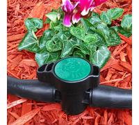 Antelco Green Back Valve 19 mm Barb