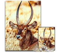 Antelope 1000 Piece Jigsaw Puzzles for Adults Paper Jigsaw Puzzles Interactive Family Game Brain Challenge Educational Toy 1000 PCS(38x26cm)