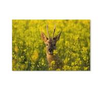 Antelope in the chrysanthemum garden,Puzzle 1000 Pieces Of paper Puzzles Suitable For Adults Children Families Stress Relief Puzzle Games 38x52CM