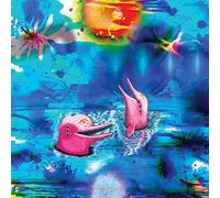 ANTELOPER - PINK DOLPHINS