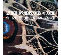Antennae by Joe Morris Trio (1997-11-04)