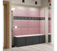 Anteroom Set Orion Ii Graphite Shoe Cabinet Hangers Pink Panels