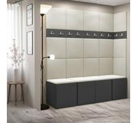Anteroom Set Orion Ii Graphite Shoe Cabinet Hangers White Panels