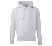 Anthem Men's Hooded Sweatshirt – Ash – L