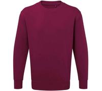 Anthem Men's Plain White Sweatshirt in Burgundy | Size: 3XL Anthem Burgundy 3XL