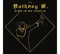 Anthony B. - King In My Castle [VINYL]