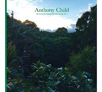 Anthony Child - Electronic Recordings from Maui Jungle, Vol. 1 [VINYL]
