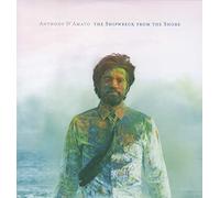 Anthony D'Amato - The Shipwreck From The Shore [VINYL]