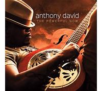 Anthony David - The Powerful Now