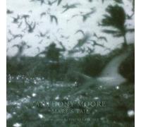 Anthony Moore - Mare's Tail [Vinyl LP] [VINYL]