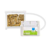 AntHouse - 3D White Sand Ant Hill- Basic Kit | Sandwich (12x10x1 cm) + Forage Box (18x10x5 cm) | Ant Farm