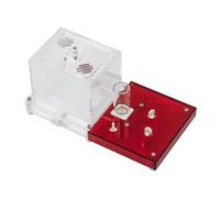 Anthouse Ant Educational Kit with Queen Included - Professional Acrylic Anthill 4" x 8" x 0.5" for Kids and Beginners | Ant Farm for Observation and Learning