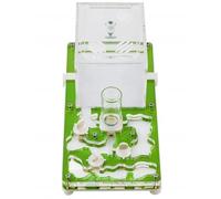 Anthouse Ant Educational Kit with Queen Included - Professional Acrylic Anthill 4x8x0.5in for Kids and Beginners | Ant Farm for Observation and Learning (Green)