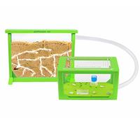 AntHouse - Natural Sand Ant Farm | 3D Medium Kit (Sandwich + Forage Box) | Color Green