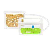 AntHouse - Natural Sand Ant Farm | 3D Mini Kit (Sandwich + Forage Box) | Color White