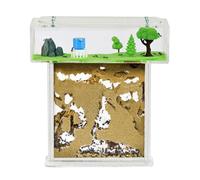 AntHouse - Natural sand ant farm - Acrylic T Kit 15x15x1-5cm