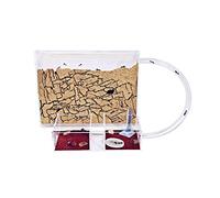 AntHouse - Natural Sand Ant Farm | Medium Kit (Sandwich + Forage Box)