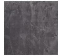 vidaXL Soft Short Pile Rug - Modern, Cozy, Non-Slip Backing, Machine Washable, Anthracite Square Area Rug - Suitable for Underfloor Heating, Perfect for Living Room, Bedroom & Office - 120x120 cm